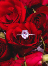 PURE LOVE RING